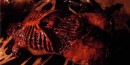 Created for the film "Consumption" Dismembered Torso